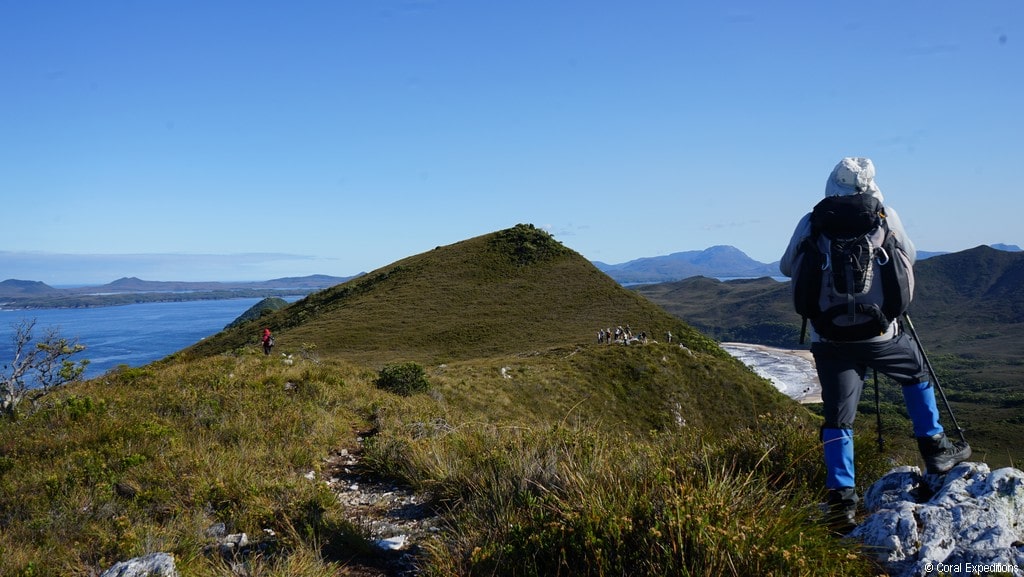 View from top of Mt Milner