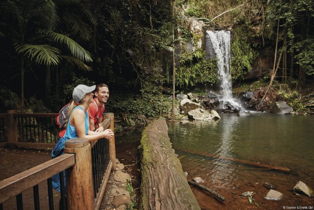 Tamborine National Park