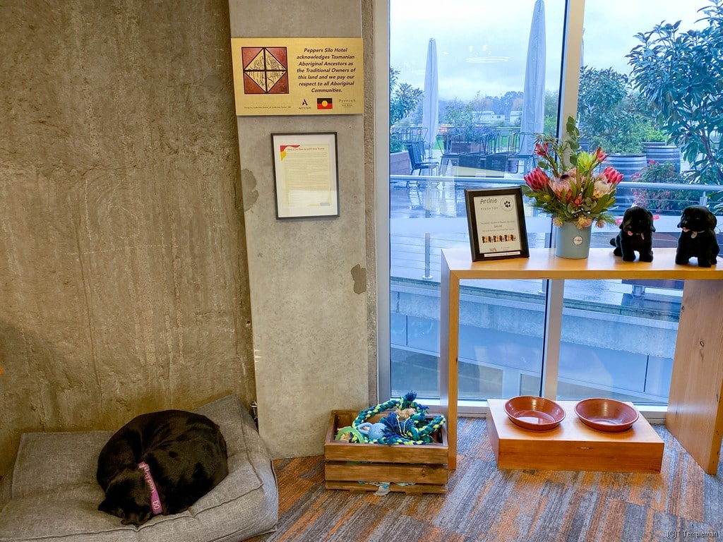 Archie at Peppers Silo