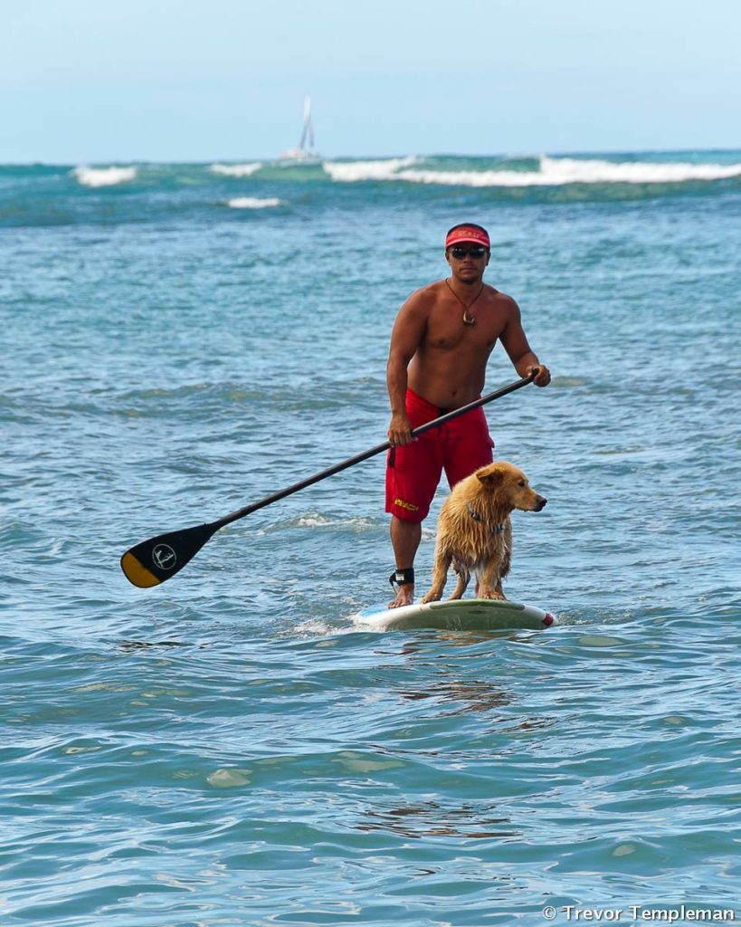 It is easy to make your own fun on this cruise