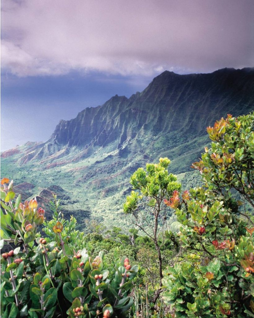 See all the famous sights such as the beautiful coastline of Kauai
