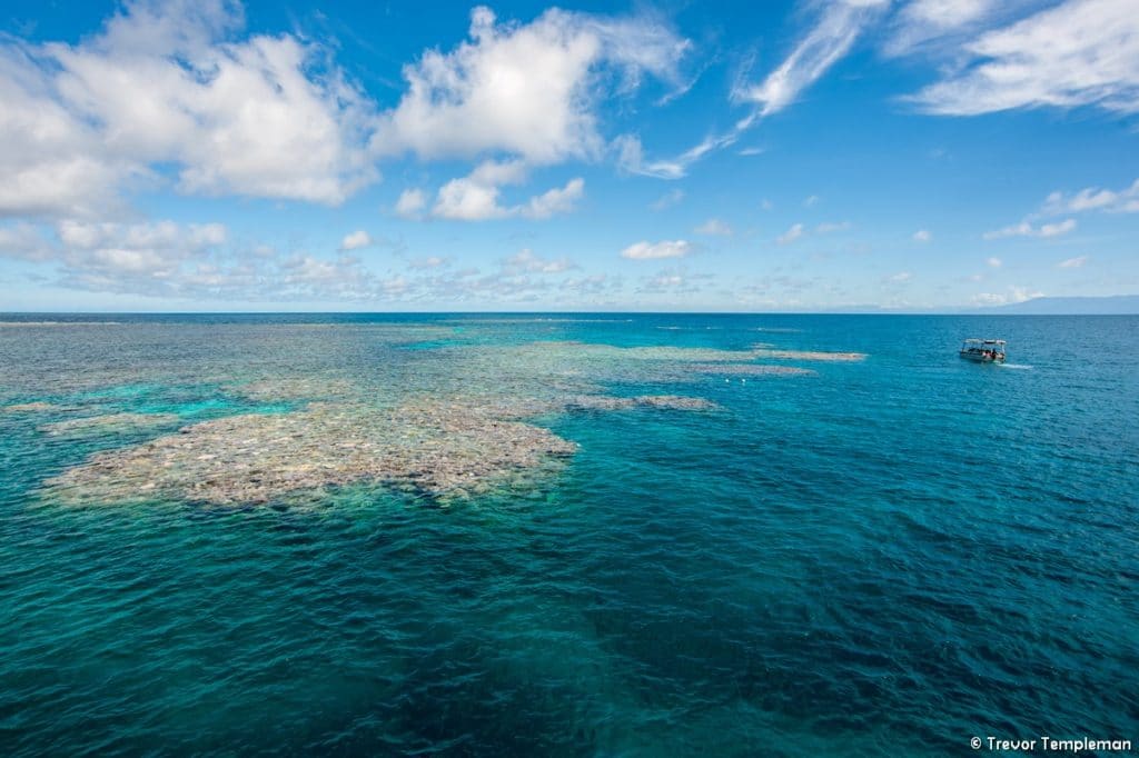 Coral Expeditions Great Barrier Reef cruise