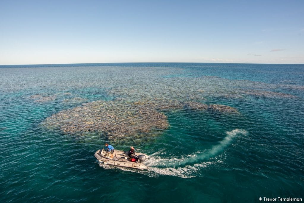 Coral Expeditions Great Barrier Reef cruise