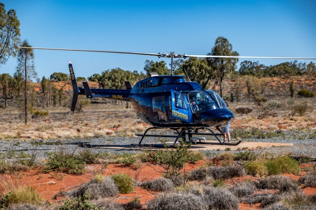 Professional Helicopter Services