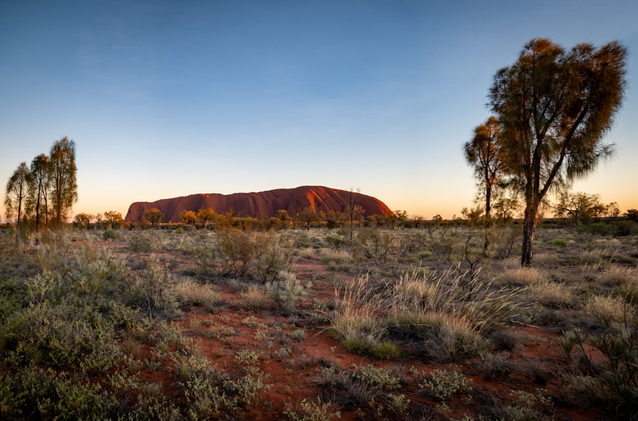 Sunrise Uluru pano