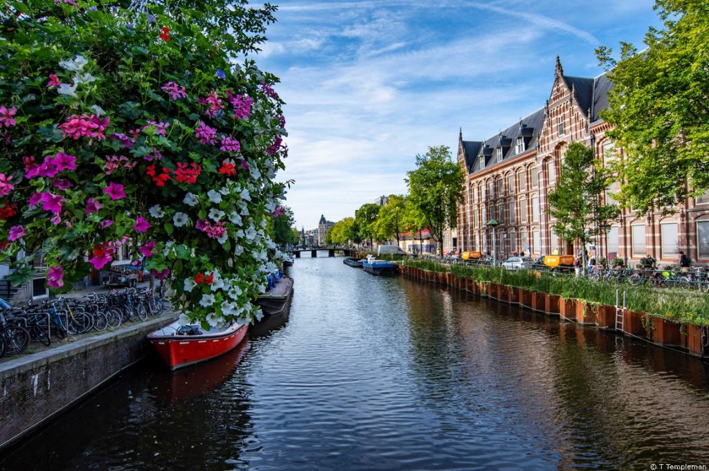 Exploring Amsterdam on foot on our Avalon Waterways Rhine River Cruise