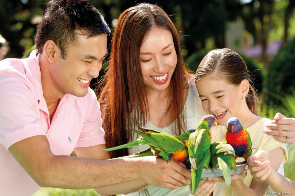Feeding lorikeets