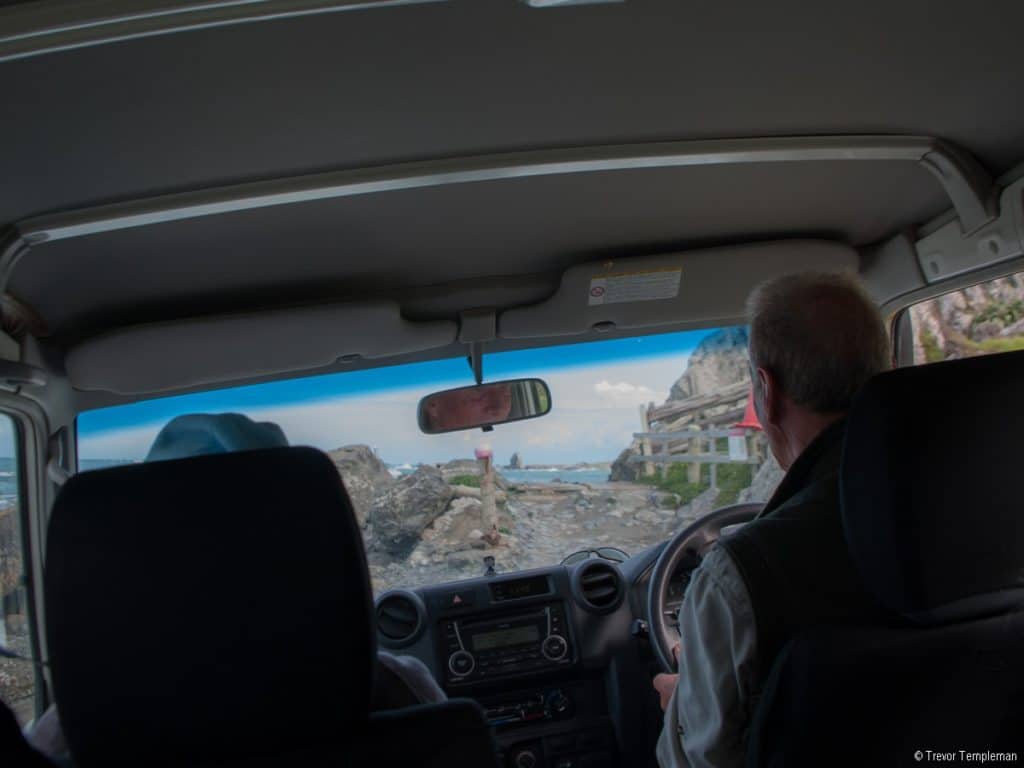 Seal Coast Safari Wellington