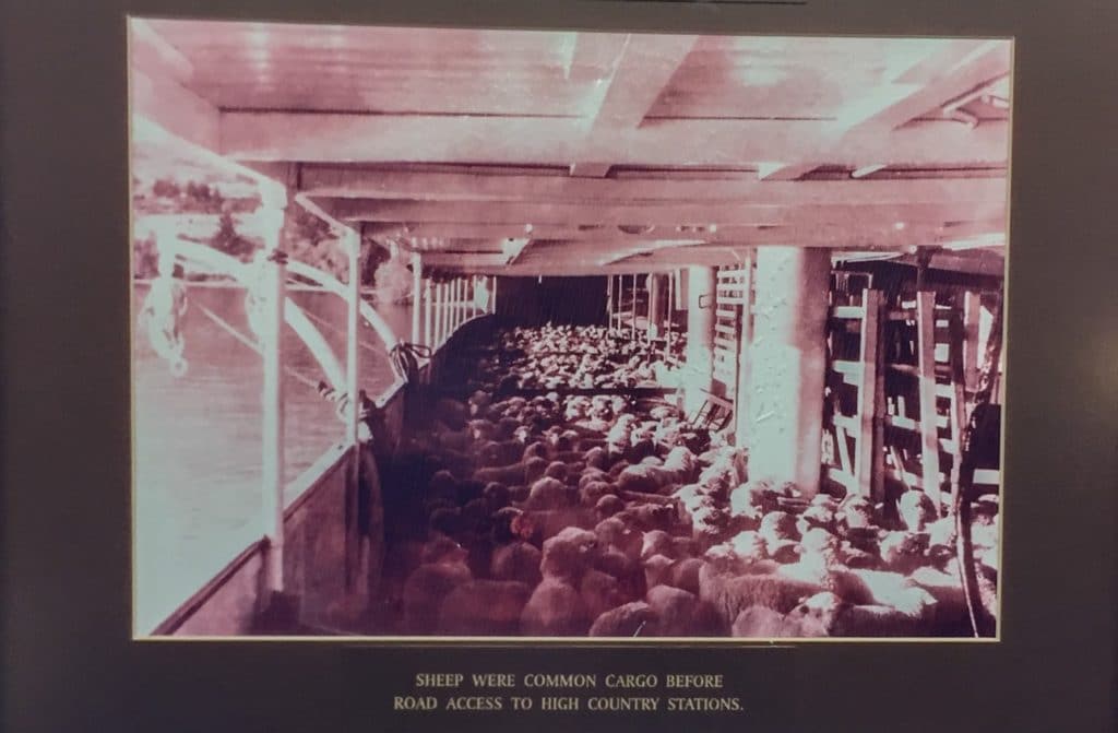 Queenstown TSS Earnslaw cruise