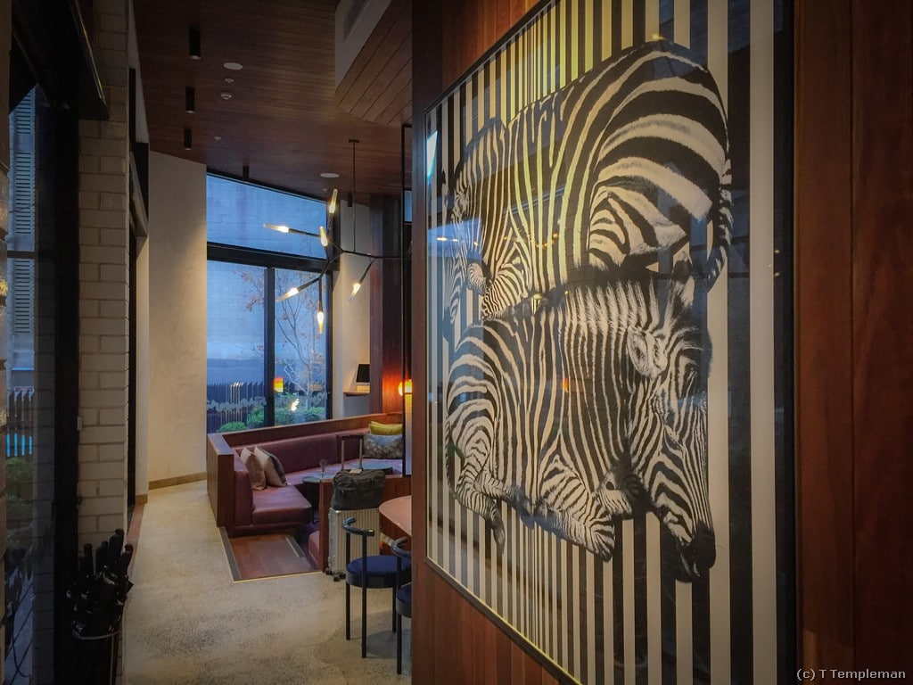 Little Albion Surry Hills Sydney