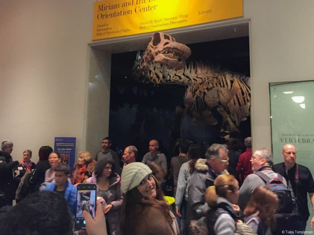 Museum of Natural History dinosaur