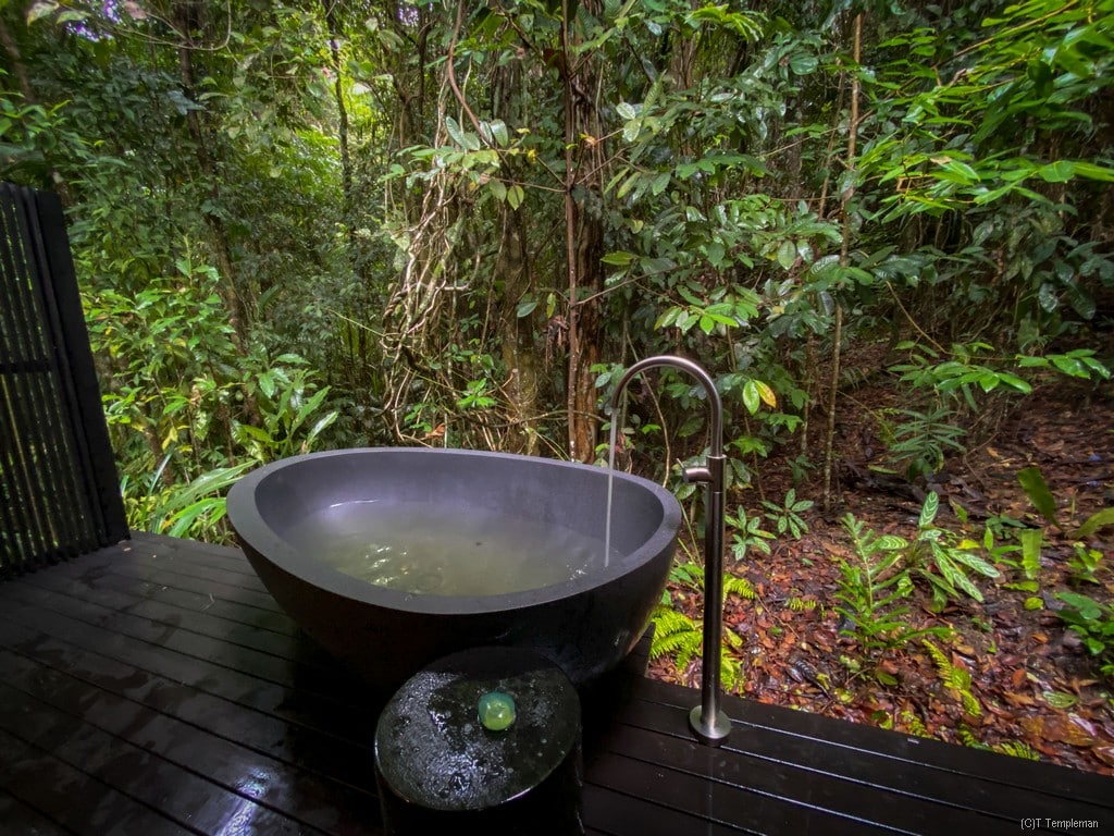 The Treehouse Retreat rainforest bath tube