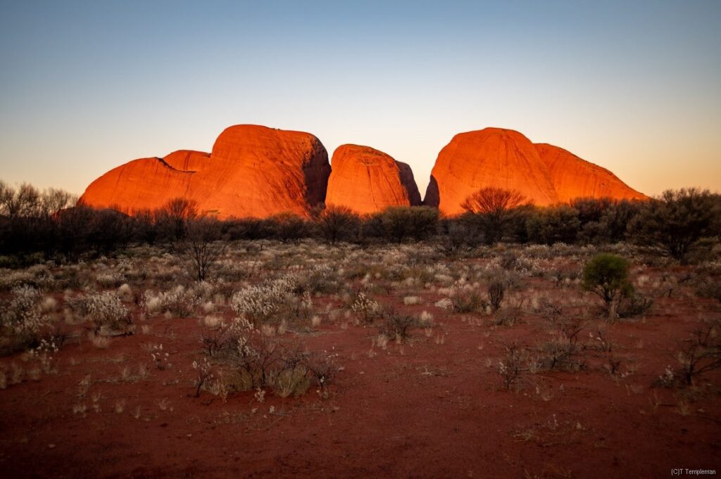 Kata Tjuta begins to glow with the setting sun