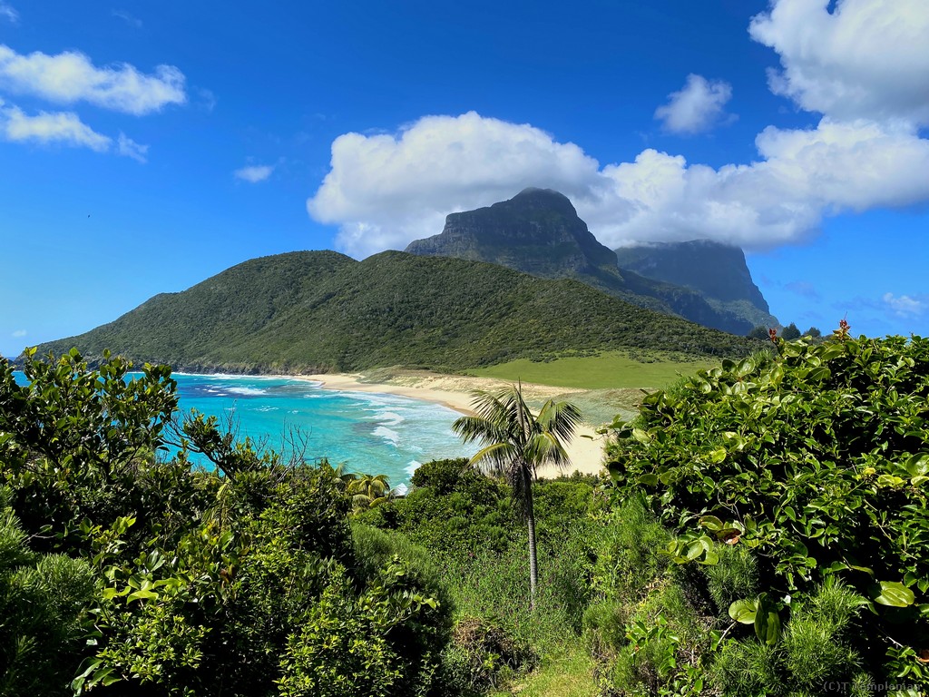Transit Hill Path to Blinky Beach Lord Howe Island
