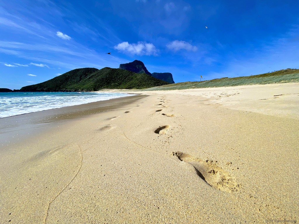 Blinky Beach Lord Howe Island