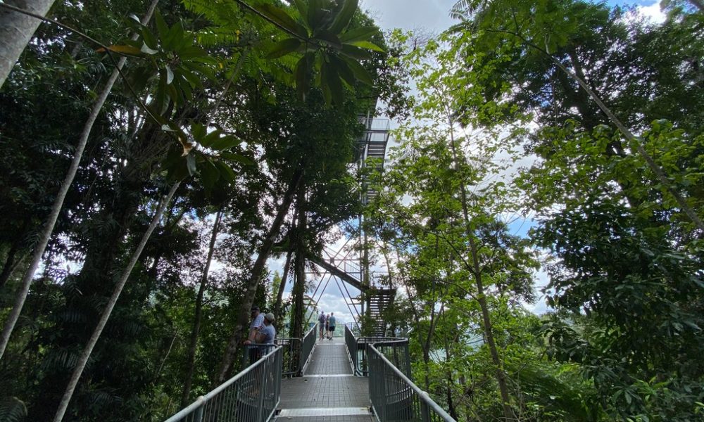 Mamu Tropical Skywalk tower