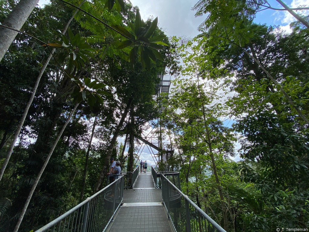 Mamu Tropical Skywalk tower