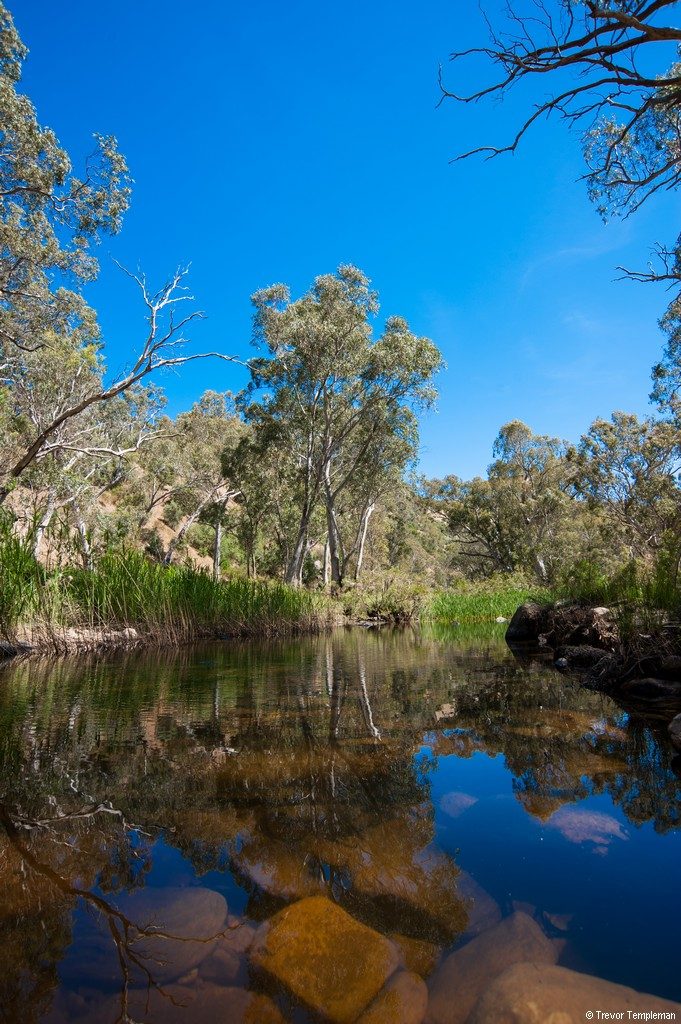 Onkaparinga River National Park waterhole