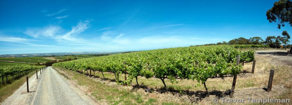 McLaren Vale