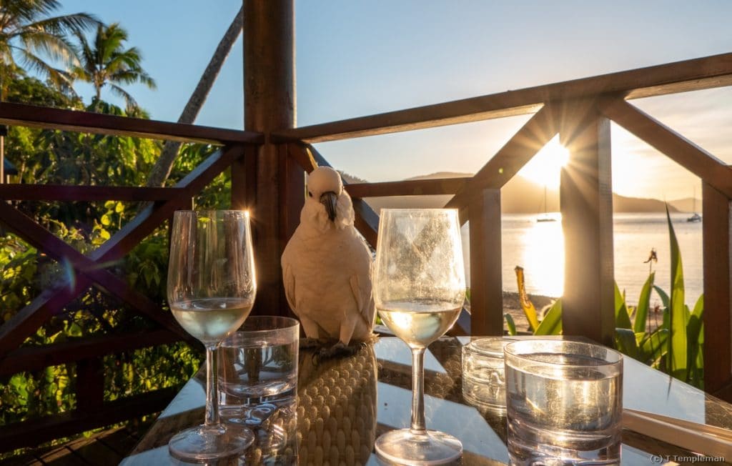 Palm bay Resort Locals