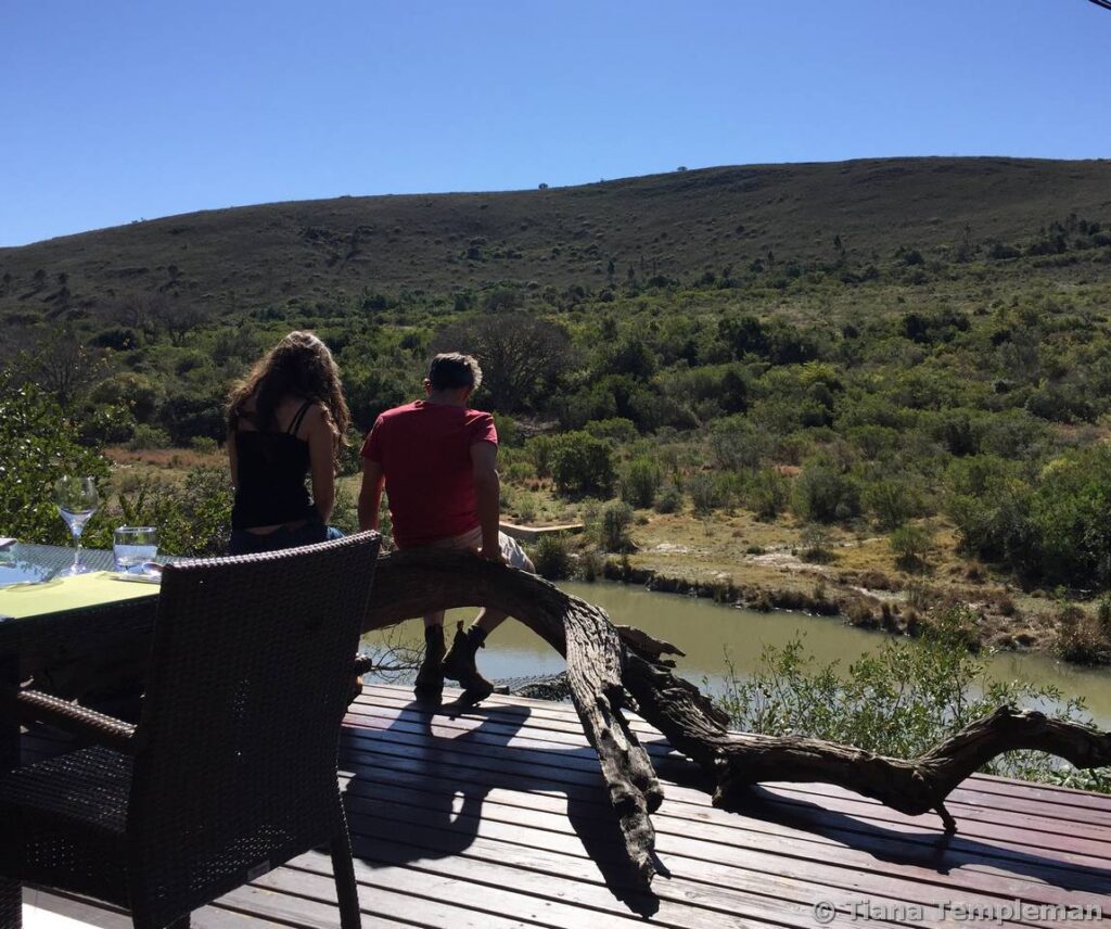 Watching the waterhole