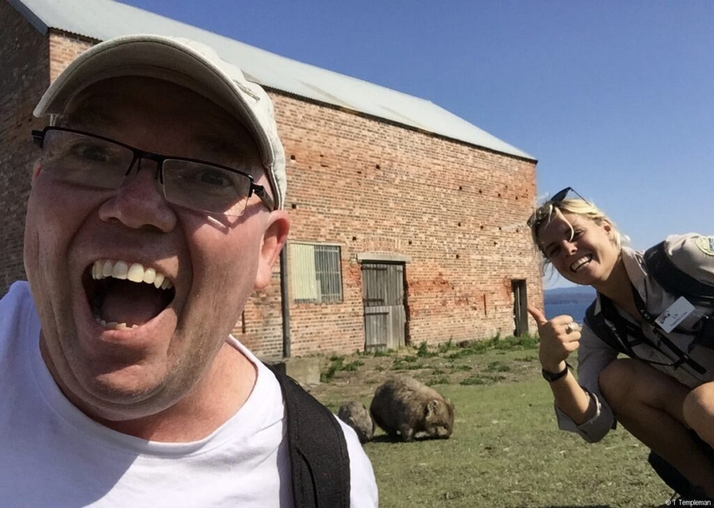 Wombat at Maria Island