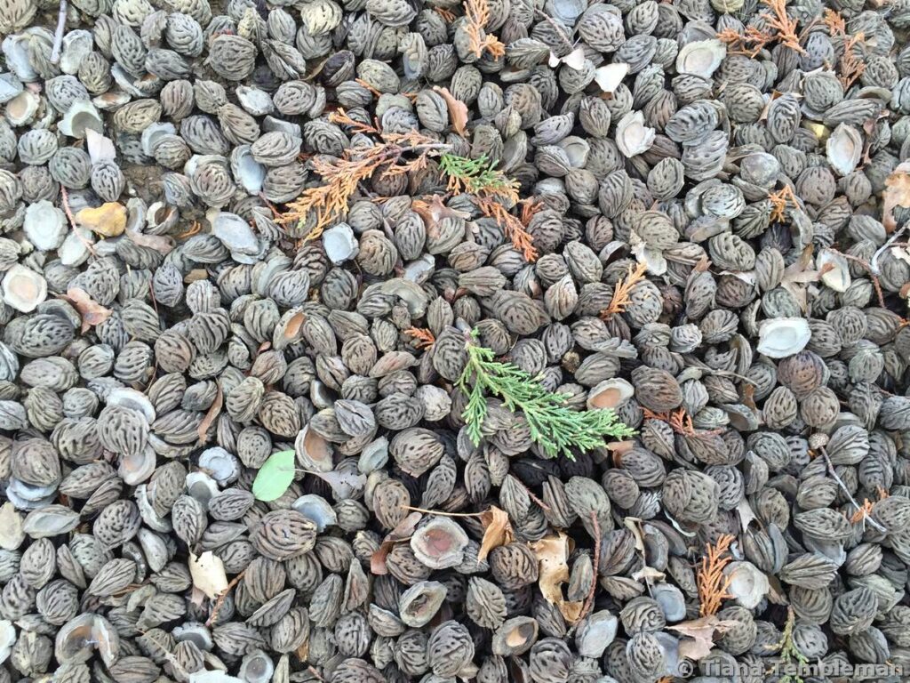 Unexpected moments of beauty are everywhere