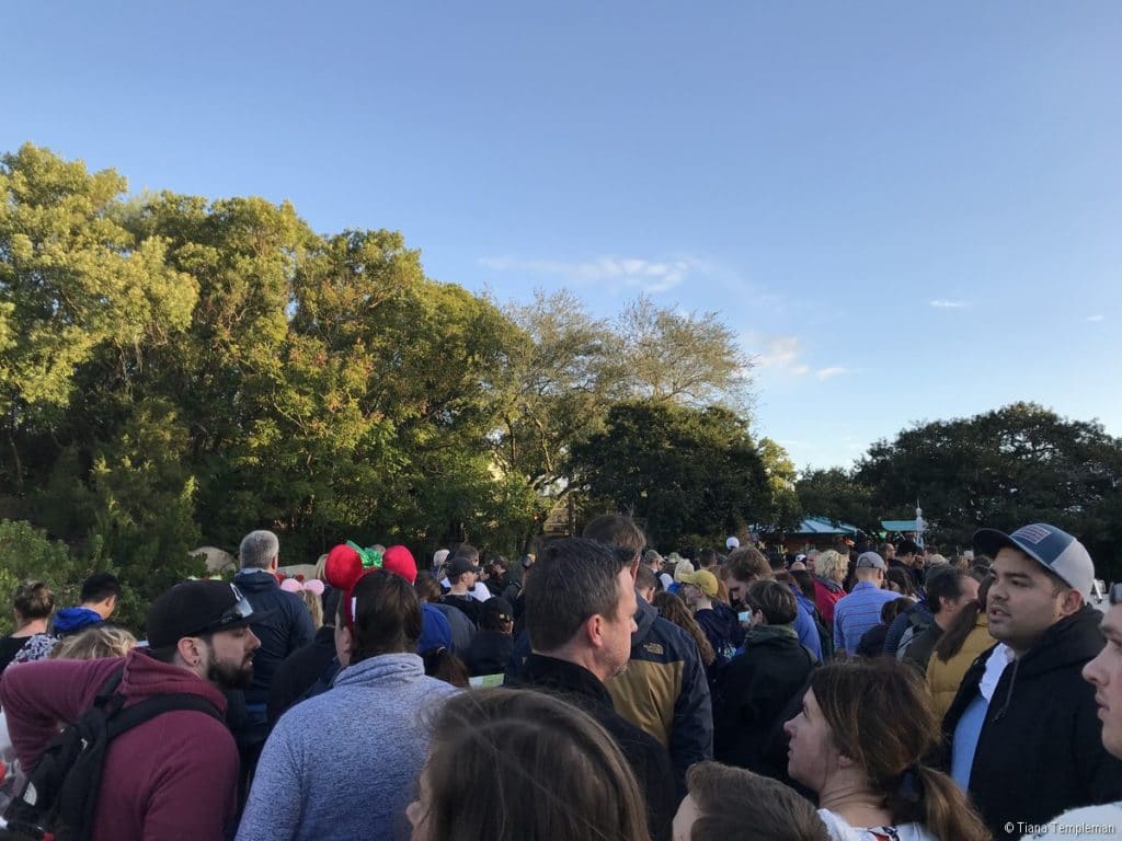 Walt Disney World crowds