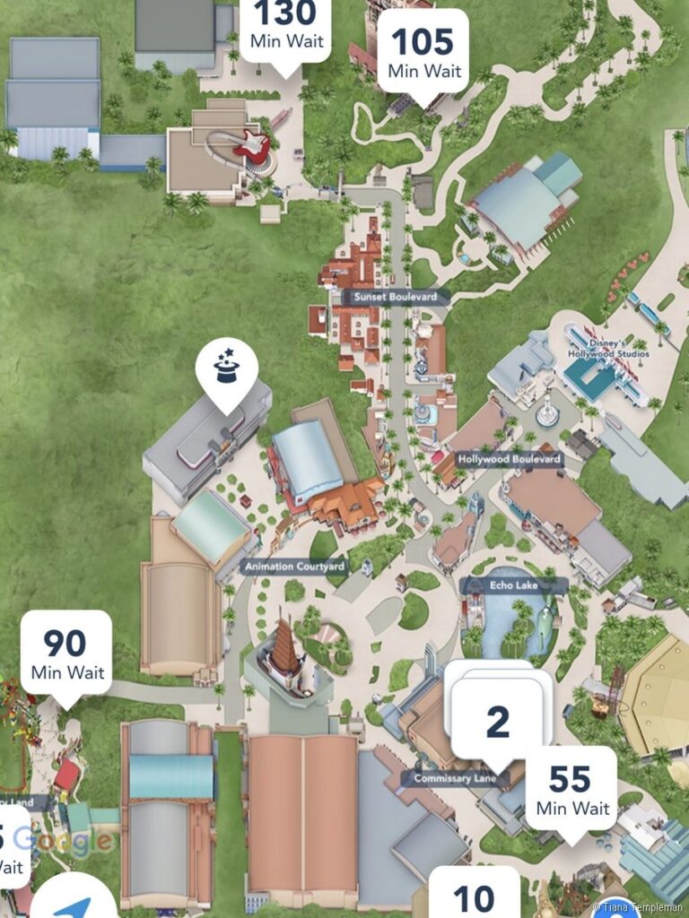 Walt Disney World wait time