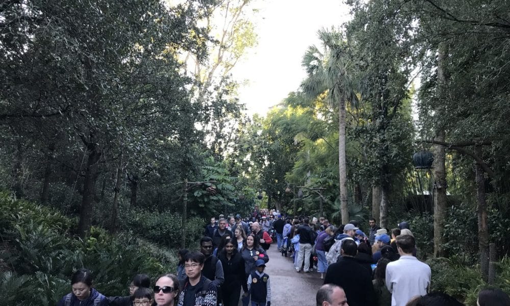 Avatar queue