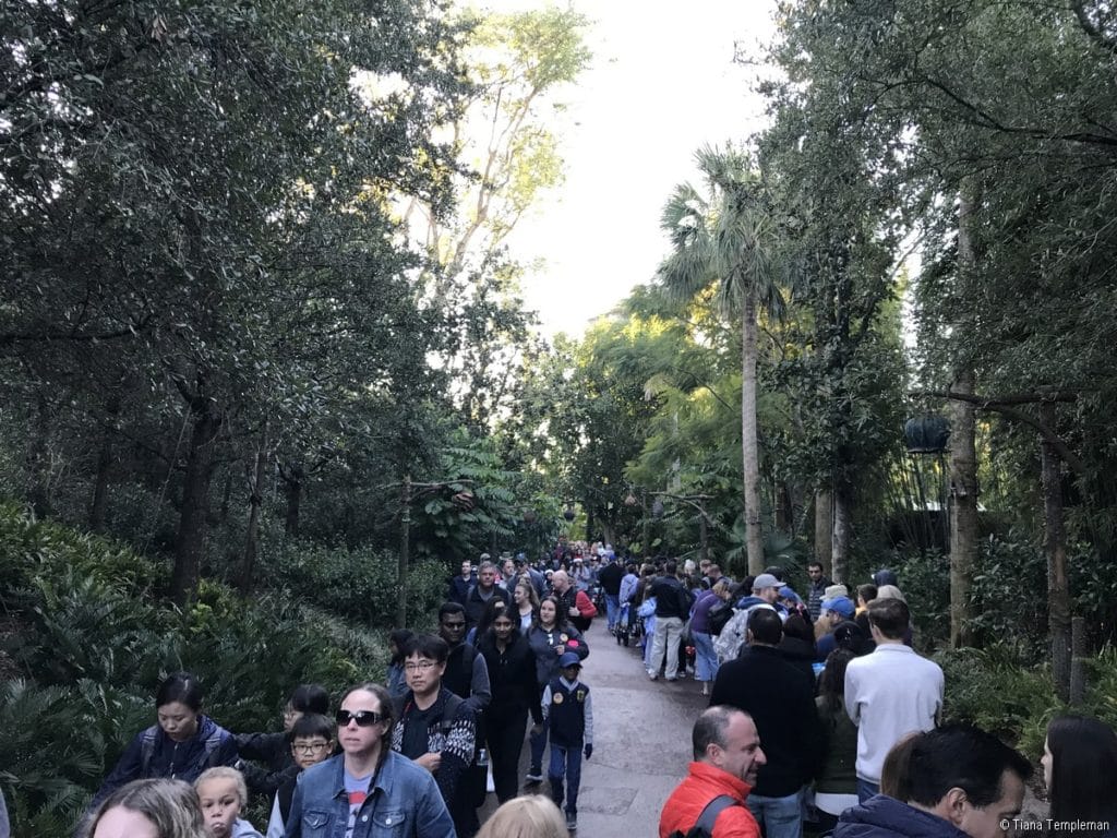 Avatar queue