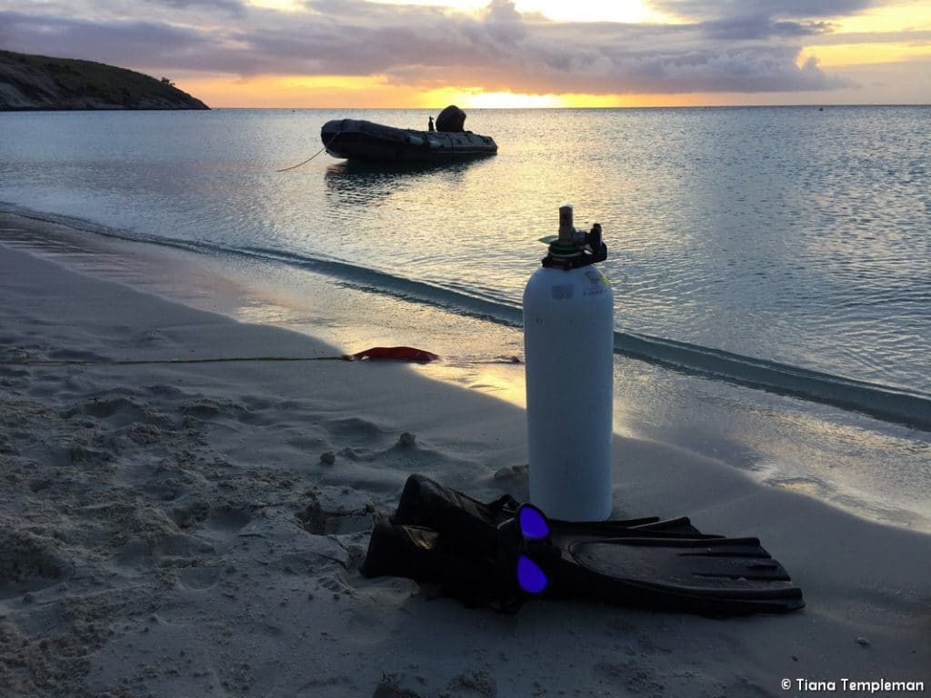 Coral Expeditions Great Barrier Reef cruise Lizard Island