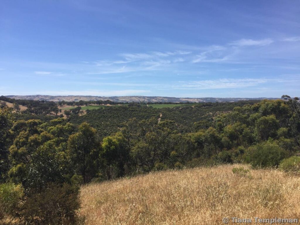 Onkaparinga River National Park