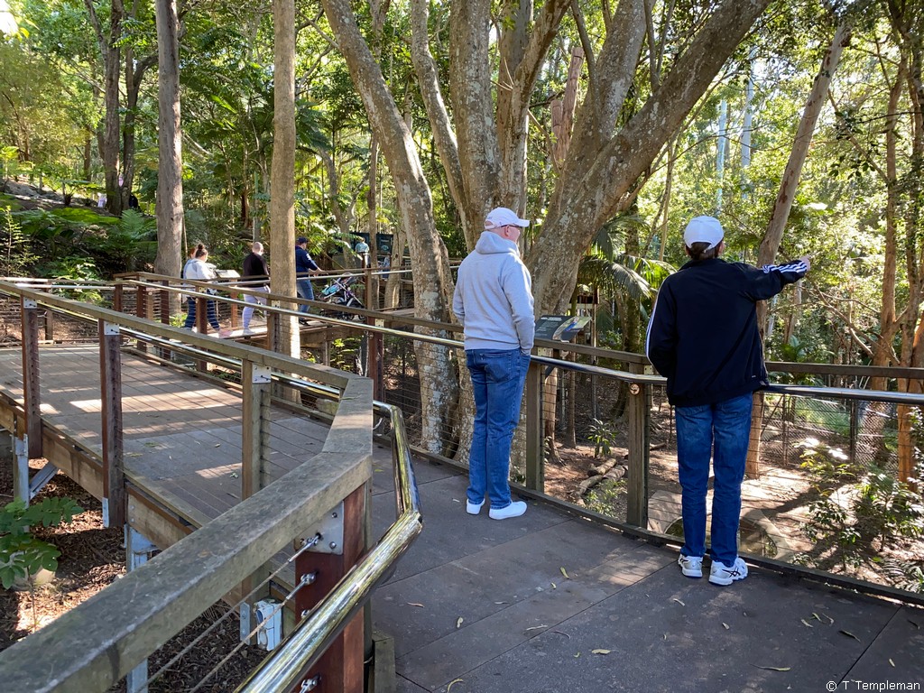 Currumbin Wildlife Sanctuary