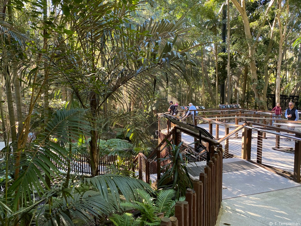 Lost Valley at Currumbin Wildlife Sanctuary