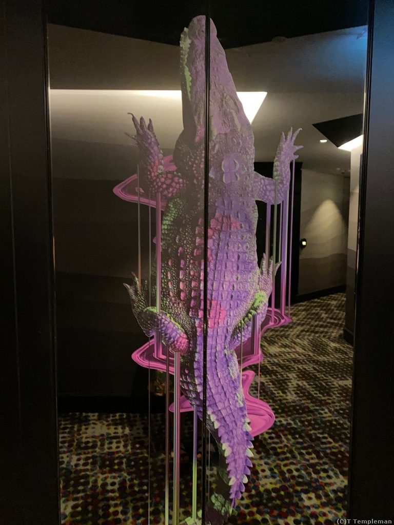 Crocodiles on display 