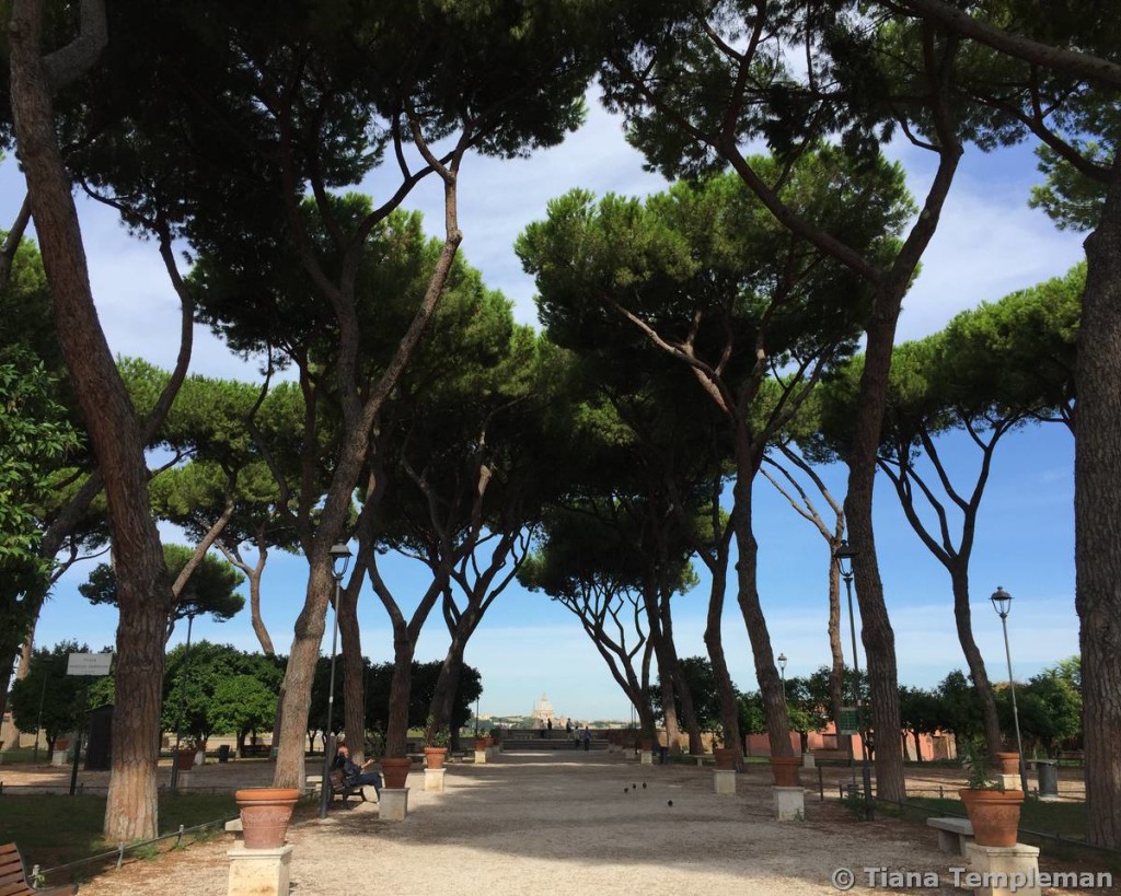 Watching St Peter's Basilica 'shrink' at Parco Savello