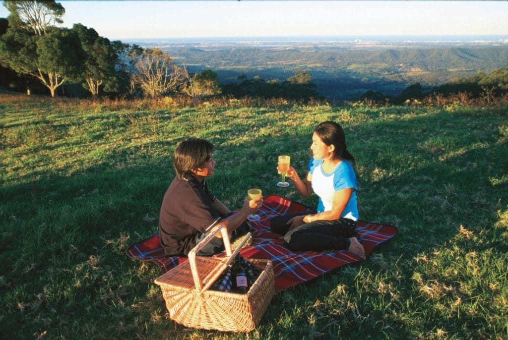 Have a picnic dinner