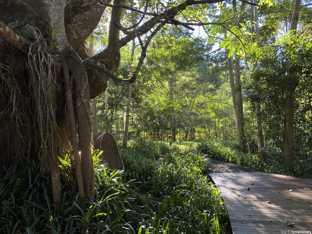 Spicers Tamarind Retreat walking trail