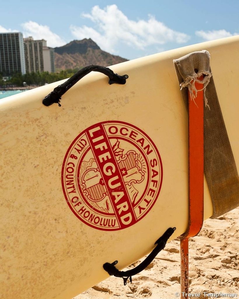 Spotted on our final afternoon in Waikiki