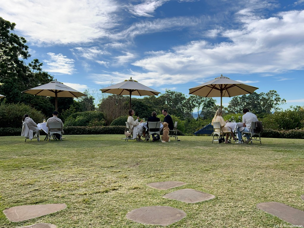 Dining on the lawn at The Long Apron