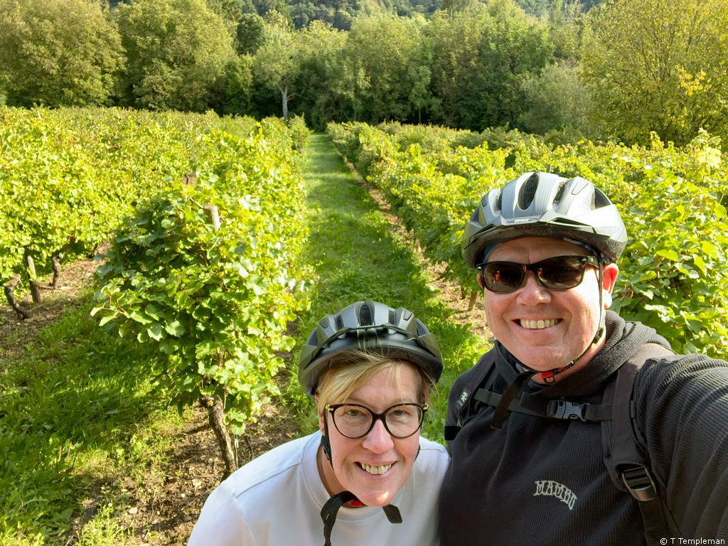 Cycling through the vineyards  on our Avalon Waterways Rhine River Cruise