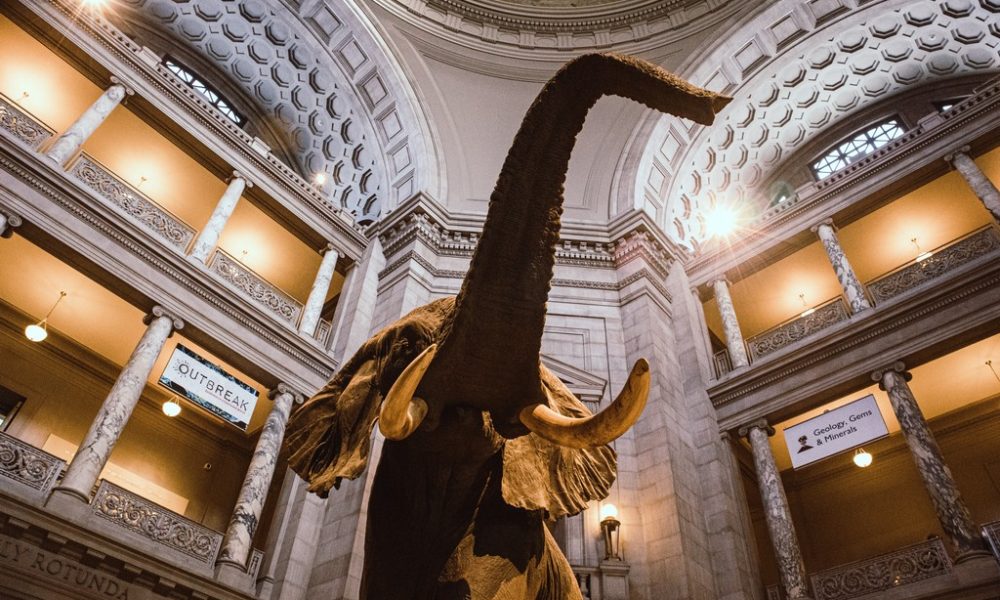 Smithsonian National Museum of Natural History