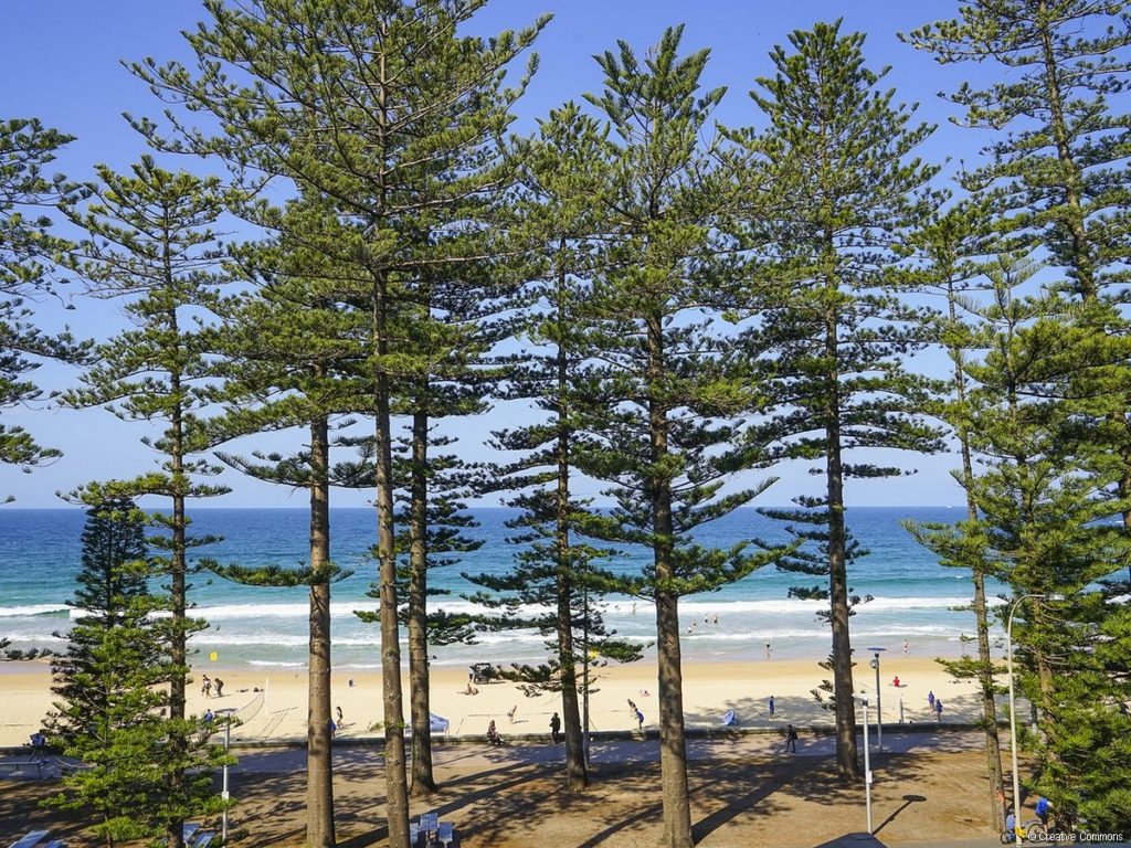 Manly Beach