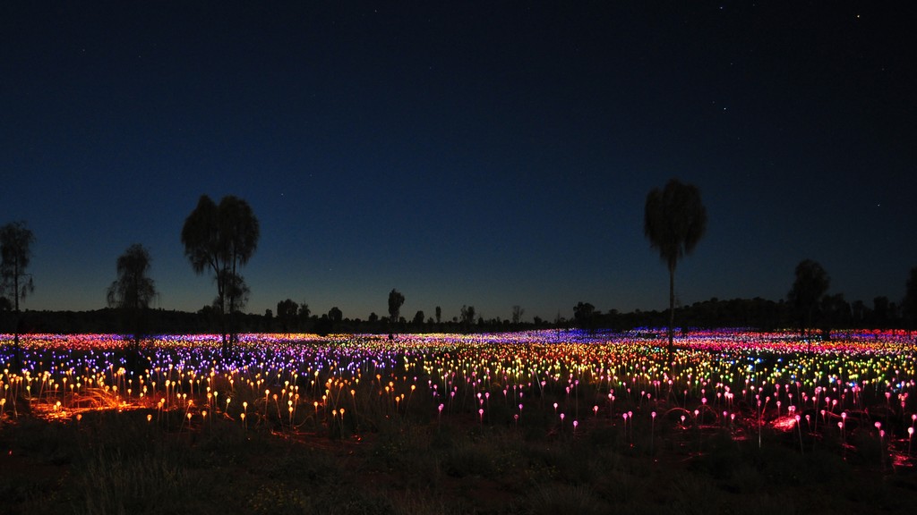 Field of Light